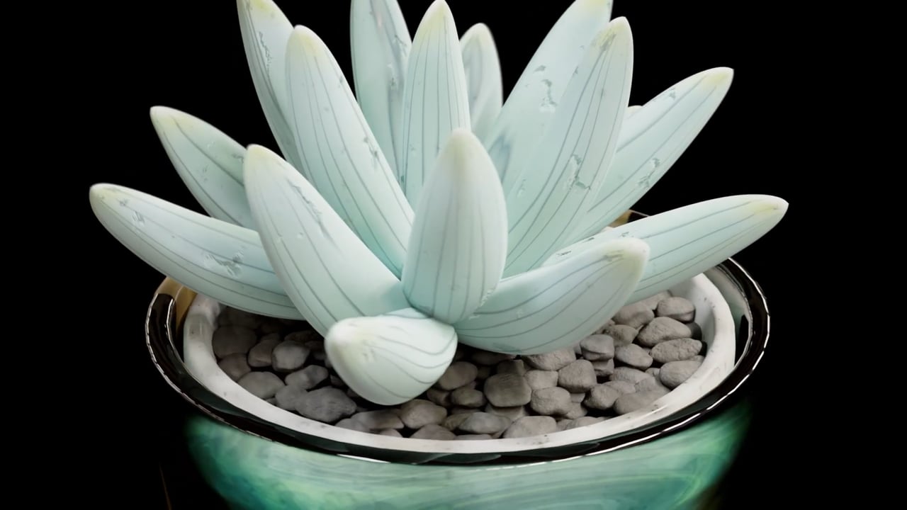 Succulent Plant Commercial still